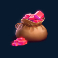 treasure wild slot gem bag symbol