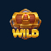 treasure wild slot wild symbol