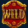 van der wilde and the outlaws slot wild symbol