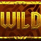 vikings unleashed megaways slot wild symbol