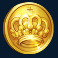 wild toro 2 slot gold coin symbol