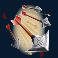 300 shields extreme slot arrows symbol