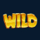 golden fish tank slot wild symbol