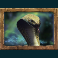 jungle spirit call of the wild slot cobra symbol