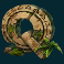 jungle spirit call of the wild slot q symbol