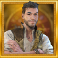 pearls of india slot wild symbol