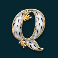 piggy riches slot q symbol