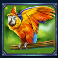 pirate gold slot parrot symbol