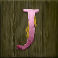 pirates charm slot j symbol