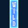 riders of the storm slot mystery wild symbol