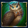 rise of merlin slot owl symbol