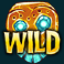 skeleton key slot wild symbol