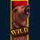 barbarian fury slot wild symbol