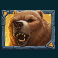 beasts of fire slot bear symbol