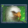 beasts of fire slot eagle symbol