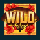 bushido ways slot regular wild symbol