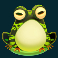 fire hopper slot frog wild symbol