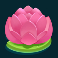 fire hopper slot pink flower symbol