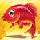 fishin bonanza slot gold fish symbol