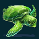 fishin bonanza slot turtle symbol