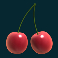 fruit warp slot cherries symbol