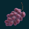 fruit warp slot grapes symbol