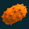 fruit warp slot kiwano symbol