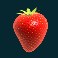 fruit warp slot strawberry symbol