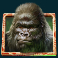 gorilla kingdom slot gorilla symbol