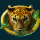 gorilla kingdom slot leopard symbol