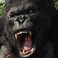 kong the 8th wonder of the world slot kong wild symbol