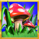 rainbow riches power mix slot magic toadstool scatter symbol