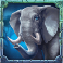 savannah drums slot elephant symbol