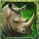 savannah drums slot rhino symbol