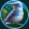silverback gold slot bird symbol