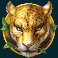 silverback gold slot leopard symbol