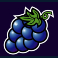 sizzling hot deluxe slot grapes symbol