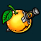 toro 7s slot orange symbol