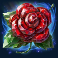 15 crystal roses a tale of love slot scatter symbol
