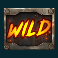 cash truck slot wild symbol