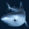 great blue slot shark symbol