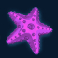 great blue slot starfish symbol