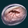 raging rex slot fossil 1 symbol