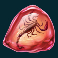 raging rex slot fossil 4 symbol