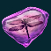 raging rex slot fossil 5 symbol