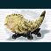 siberian storm slot tiger tooth symbol