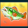 big bass bonanza slot fish symbol
