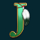 buffalo hunter slot j symbol