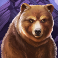 buffalo rising megaways slot brown bear symbol