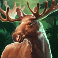 buffalo rising megaways slot elk symbol